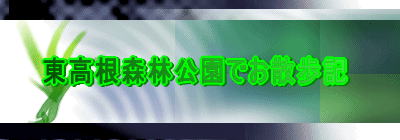 XьłUL